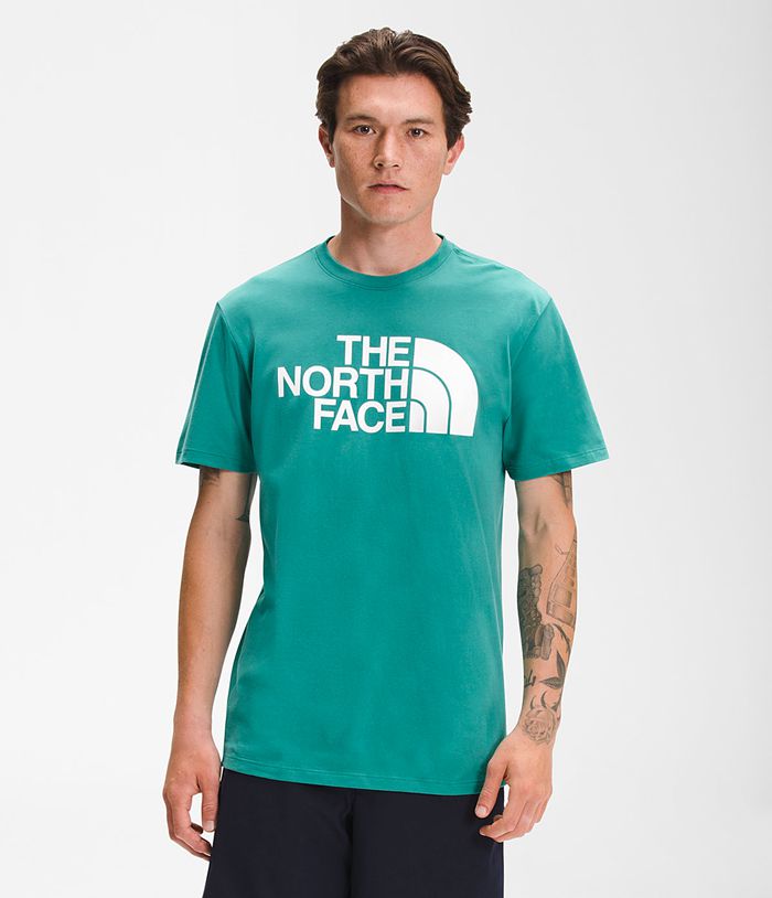 Camiseta The North Face Hombre Manga Corta Half Dome Verde - Peru 75624JNPS